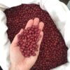 Feijão Vermelho Orgânico Granel - 100g