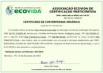 Feijão Preto Orgânico - 100g - Image 2