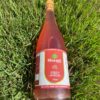 Espumante de Kombucha Shanti 750ml - Imagem 4