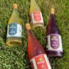 Espumante de Kombucha Shanti 750ml - Imagem 3