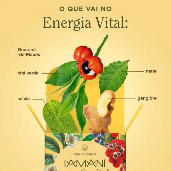 CHÁ ORGÂNICO ENERGIA VITAL IAMANÍ - 15 SACHÊS - Image 3